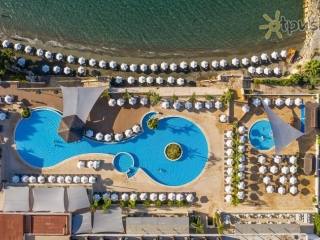 The Royal Apollonia