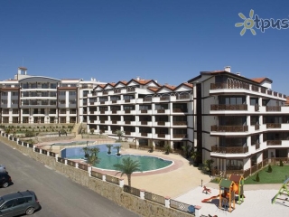 Royal Palm Sv.vlas