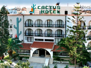 Cactus