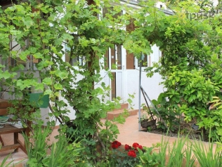 Villa Kostovic Old