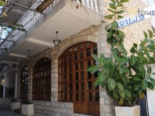 Kralj S