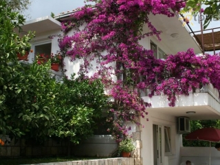 Villa Irena