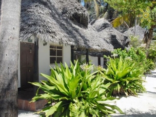 Paradise Beach Bungalows