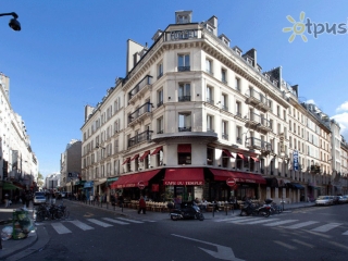 Hibiscus Paris