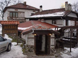 Valevicata