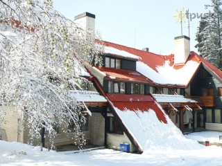 Breza (Borovets)